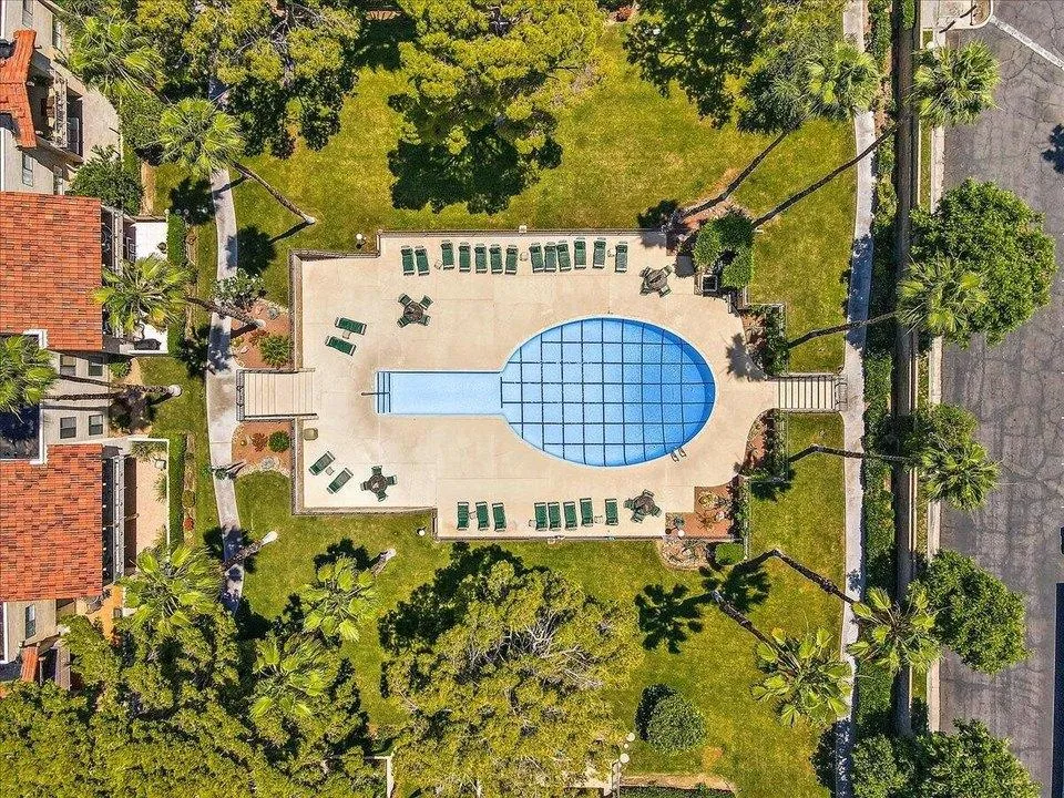 Aerial view of a community pool surrounded by lounge chairs and palm trees